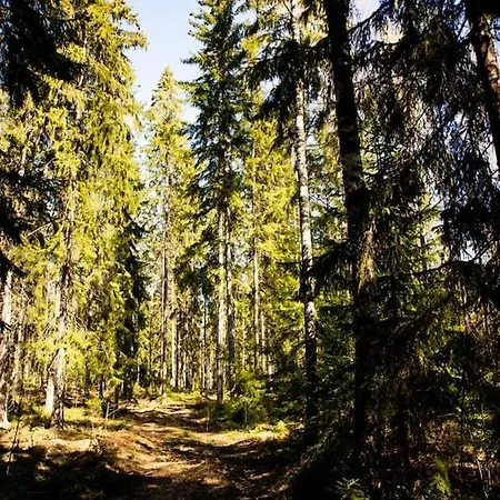 Tahlo Luxury Tent Glamping Lüks kamp alanı *