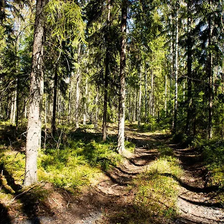 Tahlo Luxury Tent Glamping Lüks kamp alanı *